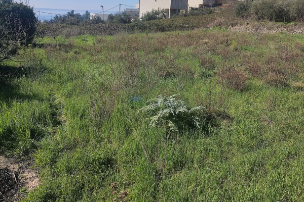 Građevinsko zemljište u Podstrani, 800 m2