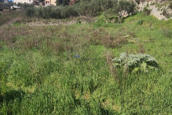 Građevinsko zemljište u Podstrani, 800 m2