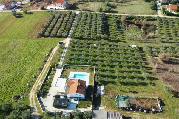 Istra, Višnjan, vila sa prekrasnim maslinikom