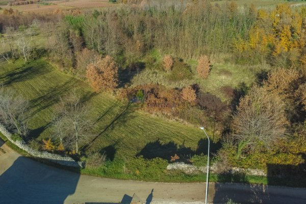 Istra, Višnjan, okolica, građevinsko zemljište sa pogledom na more