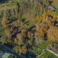 Istra, Višnjan, okolica, građevinsko zemljište sa pogledom na more - 4