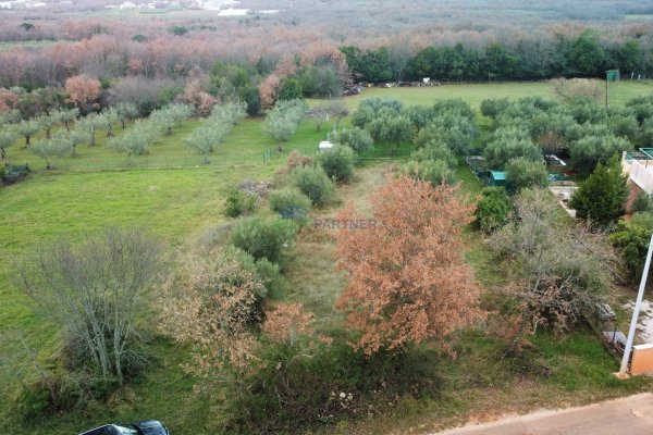 Građevinsko zemljište s pogledom na maslinike, Poreč okolica
