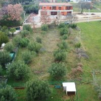 Građevinsko zemljište s pogledom na maslinike, Poreč okolica - 2