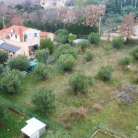 Građevinsko zemljište s pogledom na maslinike, Poreč okolica - 3