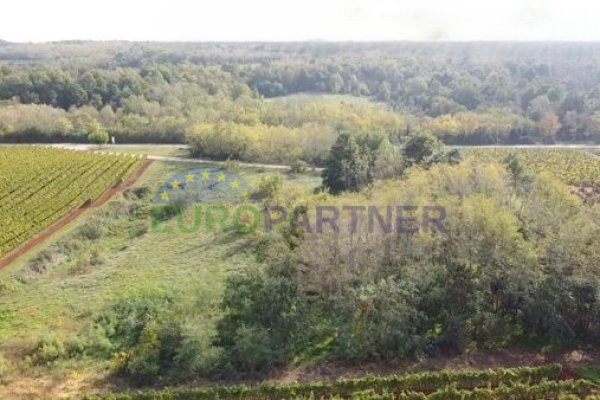 Istra, poljoprivredno zemljište na rubu građevinske zone