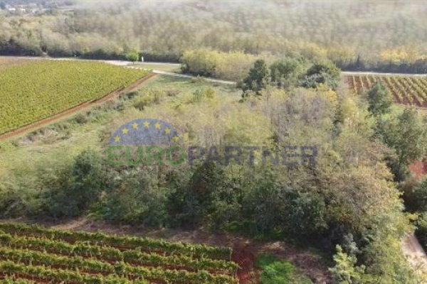 Istra, poljoprivredno zemljište na rubu građevinske zone
