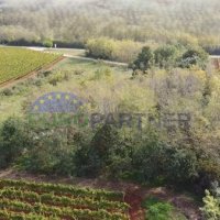 Istra, poljoprivredno zemljište na rubu građevinske zone - 2