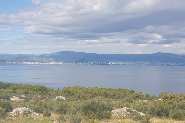Zemljište s maslinikom i pogledom na more, 20.000 m2