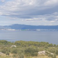 Zemljište s maslinikom i pogledom na more, 20.000 m2 - 2