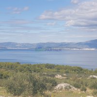 Zemljište s maslinikom i pogledom na more, 20.000 m2 - 3