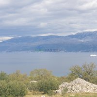 Zemljište s maslinikom i pogledom na more, 20.000 m2 - 4