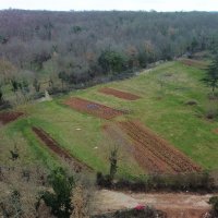 Prekrasno zemljište 975m2 u blizini Višnjana! - 2