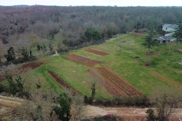 Prekrasno zemljište na rubu građevinske zone, Višnjan