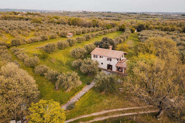 Einzigartiges Anwesen in der Nähe von Poreč - 17000 m² Bauland mit Steinhaus und Olivenhain!