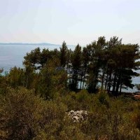 TOP LOKACIJA - OTOK HVAR- prvi red do mora, građevinsko zemljište - 4