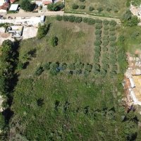Građevinko zemljište na odličnoj lokaciji u Taru - 2
