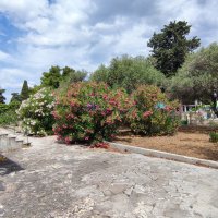 Supetar,Kamena kuća u blizini mora, otok Brač - 2