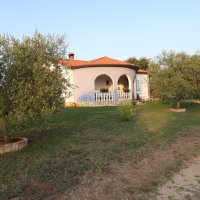 Višnjan okolica - prizemnica sa 3 spavaće sobe i velikom okućnicom - 3
